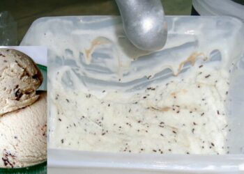 Flaky ice cream recipe with 3 ingredients: Refreshing and easy to make