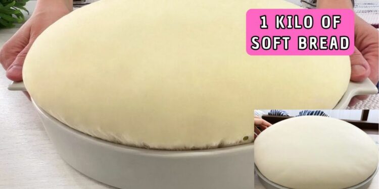 Soft 1-Kilo Bread