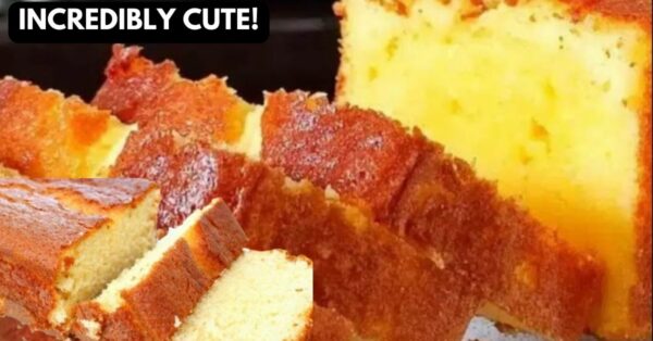 Orange Cake