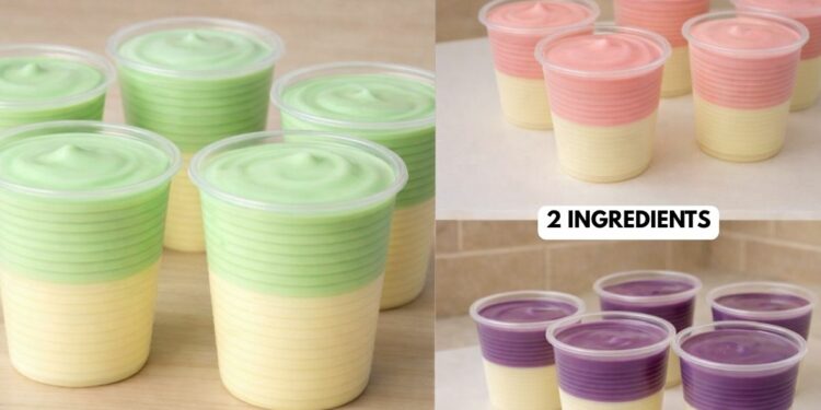 Easy 2-layer Dessert with 2 ingredients: No Gelatin, No Condensed Milk