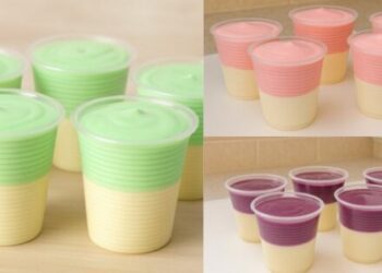 Easy 2-layer Dessert with 2 ingredients No Gelatin, No Condensed Milk