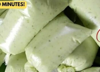 Homemade Blender Mayonnaise Recipe in 20 Minutes