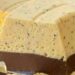 Luxury Passion Fruit & Chocolate Dessert – A Gourmet Layered Cream You Must Try