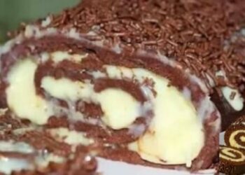 Prestige Roll Cake (No-Bake Chocolate Coconut Roll)