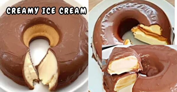 Homemade and Creamy Ice Cream