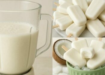 Coconut Popsicle Recipe in a Blender in 10 Minutes