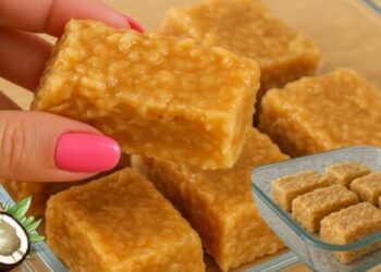 Quick & Easy Coconut Candy Recipe – Perfect for Family Desserts & Budget-Friendly Gifts